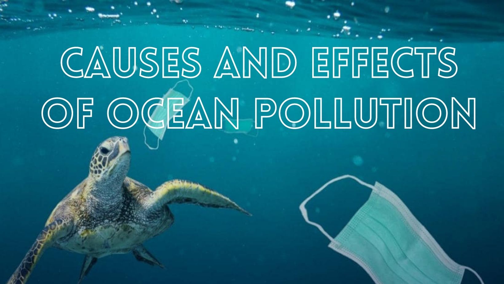 Terrible causes and effects of ocean pollution