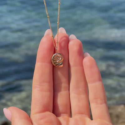 Nautilus Necklace