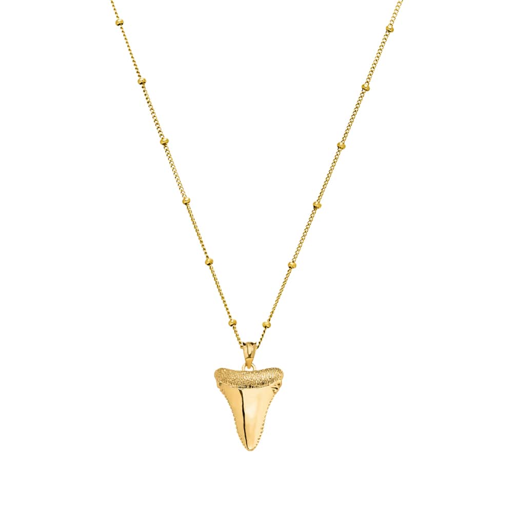 Gold Shark Tooth Necklace