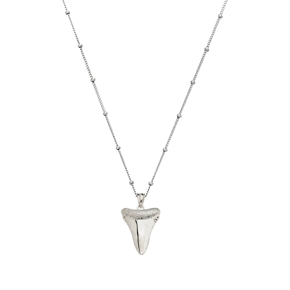 Silver Shark Tooth Necklace